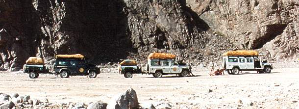 Auf Afrikasafari in Namibia