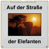 Dia: Stra&szlig;e der Elefanten