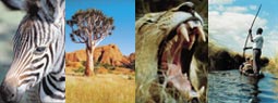 Collage: Afrika-Bilder