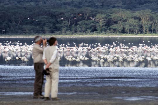 Flamingo-Beobachtung am Lake Nakuru