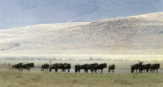 Ngorongoro-Krater